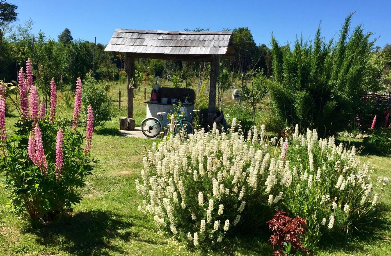 Cabanas Chiloeislife Countryside Кастро Экстерьер фото