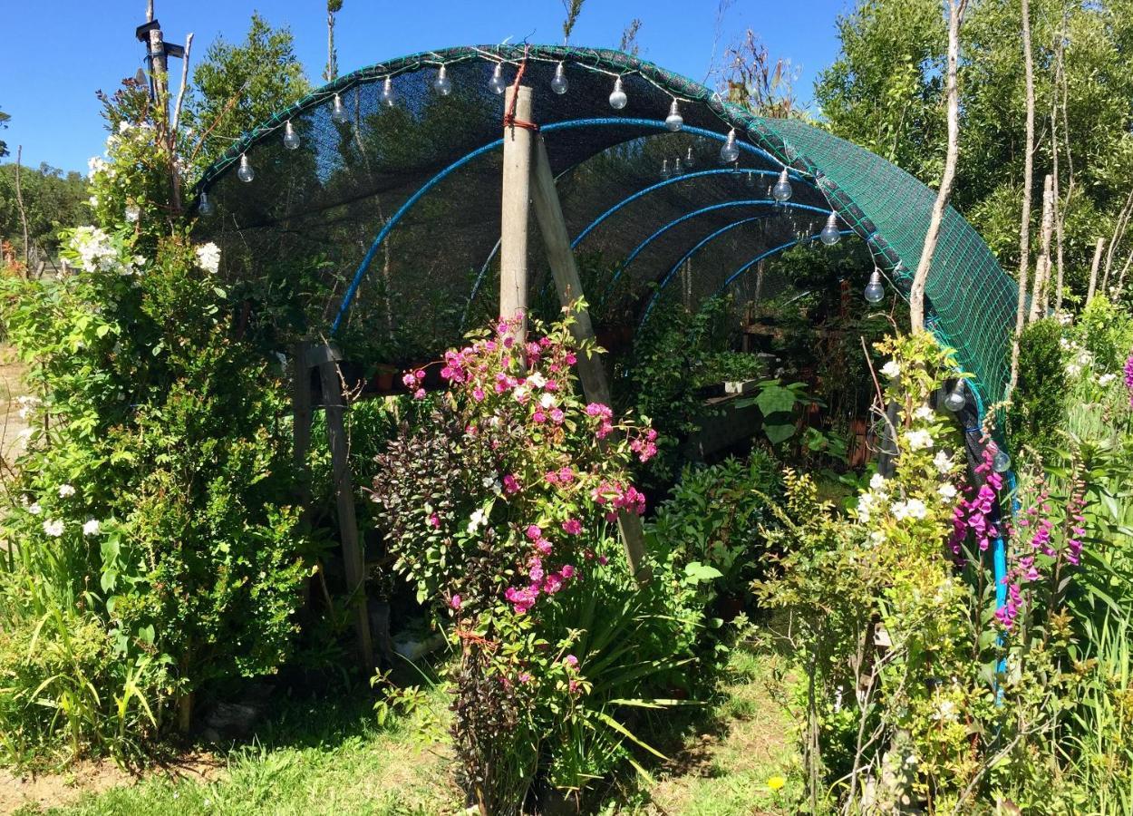 Cabanas Chiloeislife Countryside Кастро Экстерьер фото